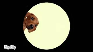 Pedro el perro salchicha