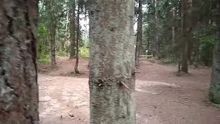 Урочище 