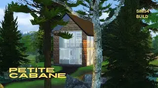Cabane dans les bois, pour la pêche et la chasse 🎣🌲