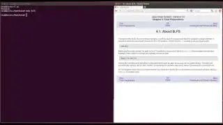 LFS 7.4 - 4.1 About $LFS (video 6)
