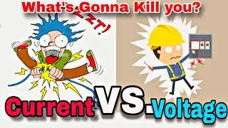 Which is the Killer, Current or Voltage?