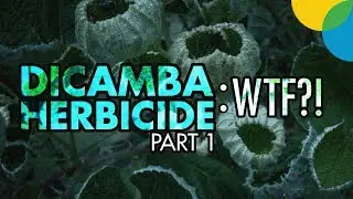 DICAMBA HERBICIDE Part 1: What the heck happened?!