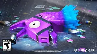 Fortnite SECRETLY REMOVED Llamas!