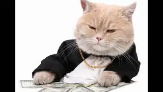 Игорь КУЩ и группа ШКОЛА - Денежки