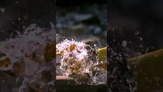 Reverse Video #reversevideos #reverse #video #effects