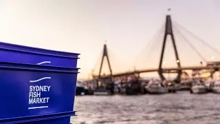 EXPERIENCE SYDNEY FISH MARKET