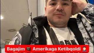 Ayraportda bagaj yoqolsa kim javobgar ? Frankfurd ayraportida qopketdi 🤦🏻‍♂️