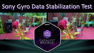 Sony Catalyst Browse Gyro Stabilization FX30 15mm 1.4 G