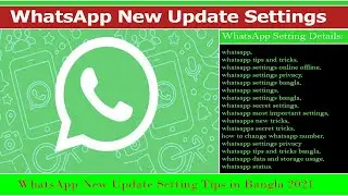 WhatsApp Most Important Settings | WhatsApp Hidden Features | Bangla Tutorial |