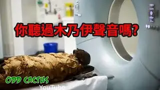 科學家讓5300歲的木乃伊開口講話   聲音直衝你腦門 簡直毛骨悚然