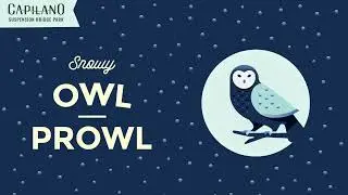 Capilano Snowy Owl Prowl