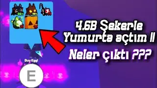 Pet Simulator X Yeni Güncelleme Geldi !!!! | Roblox Pet Simulator X | Roblox Türkçe
