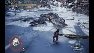 MHWI PC Jeanne Alter vs Tempered Kushala Daora 4'56''18