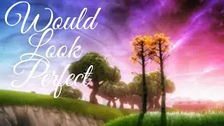 Would Look Perfect (Fortnite Montage)