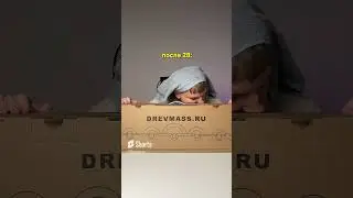 Потому что в Древмасс невозможно не влюбиться #short #shorts #drevmass #древмасс #болитспина