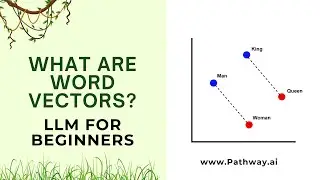 LLMs for beginners   What are Word Vectors?