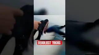 5 DEADLIEST Tricks Animals Use In The Wild