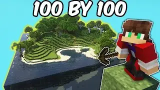 Surviving In A 100 by 100 Minecraft SMP