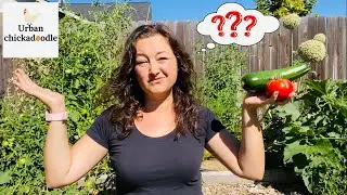 Is Urban Farming Right For You?
