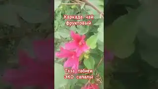 Каркаде фруктовый чай таза табиғи 