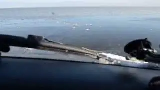 Январь. 2014 г. Могучи.