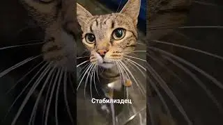 кризис закончился