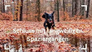 Spaziergänge mit dem Hund attraktiver gestalten