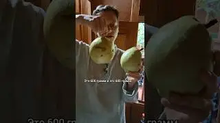 а цена-то!! КОПЕЙКИ!