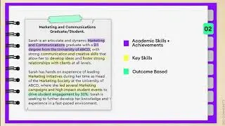 14. Professional Summary: Sample 2