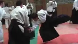 Endo Shihan Lyon novembre 2008