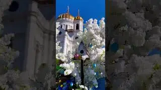 Поздравление с Пасхой - ХРИСТОС ВОСКРЕС