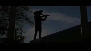 Regresa el mariachi 
