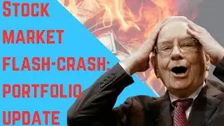 Stock Market Flash-Crash (What I've Been Buying)