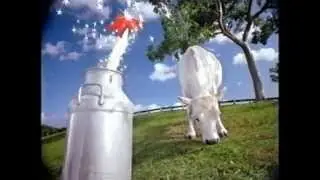 Milky Way Safaris Werbung 1994