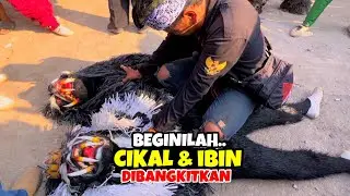 KUDA LUMPING MSP PENTAS TERBARU❗️❗️LEMBUR KURING