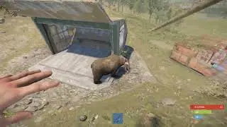 KOBE