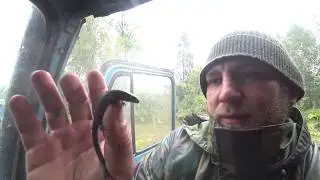 Отдых в тайге на УАЗе (3-6 день)