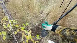 КОП НА ЗАБРОШКЕ ПРОДОЛЖАЕТ РАДОВАТЬ. #копметалла #металлокоп #металлоискатель#заброшка