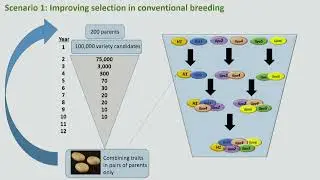 World Potato Conference 2022 Day 3 Wednesday Morning 2
