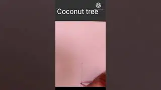 How to make a sketch of a Coconut tree