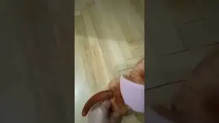 Бракованная игрушка.