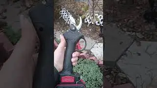 Мои помощники при обрезке розочек💪