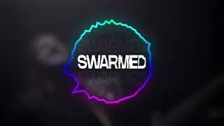Swarmed - War Within (V.I.P)