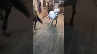 на танцполе, танцуют дво _ трое