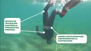 Buceo a pulmón para investigar la Rana Gigante! / Freediving for Titicaca Water Frog research!