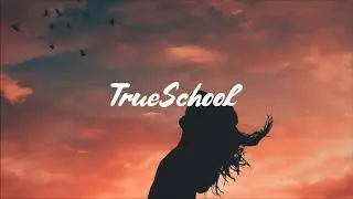[FREE] Soulful Sample Jazz Hip Hop Boom Bap Instrumental Beat 2020 - Trueschool