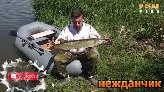 Самый лучший отчёт о рыбалке 2. Best fishing report 2. 😂😂😂