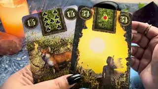 O QUE O UNIVERSO QUER TE CONTAR AGORA? 😱🔮✨ #tarot #revelacao #baralhocigano #cartasciganas #cigana
