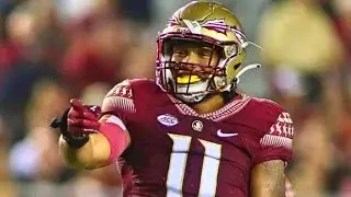 Florida State DE Jermaine Johnson 2021 Highlights