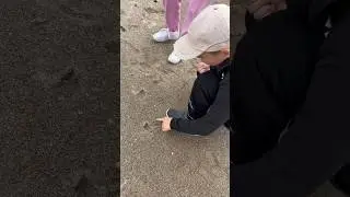 Нашли кусок золота на Балтийском море 